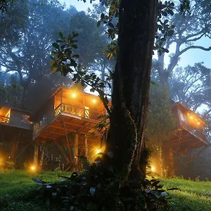 Nature Zone Jungle 4* Munnar